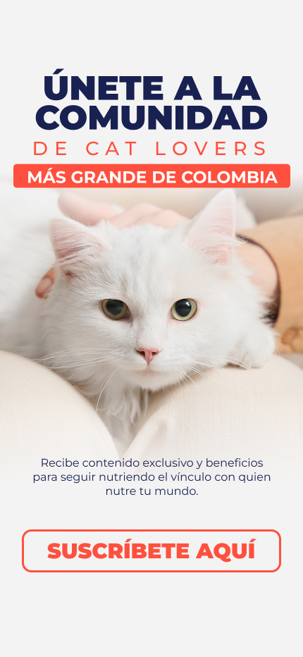 Banner: NG Home suscribete Cat